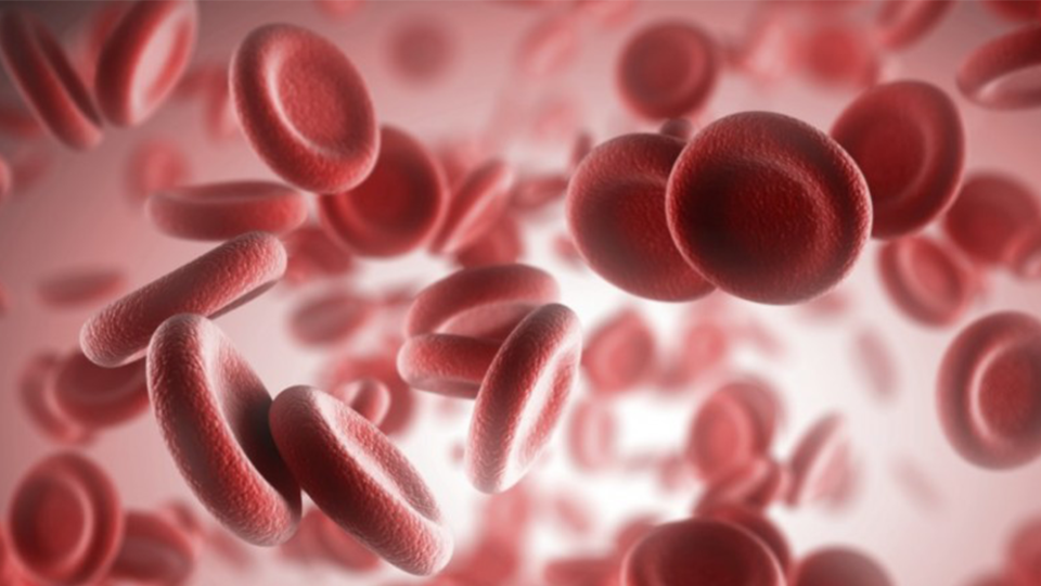 Prevenir anemia: 5 práticas saudáveis (incluindo a chlorella)